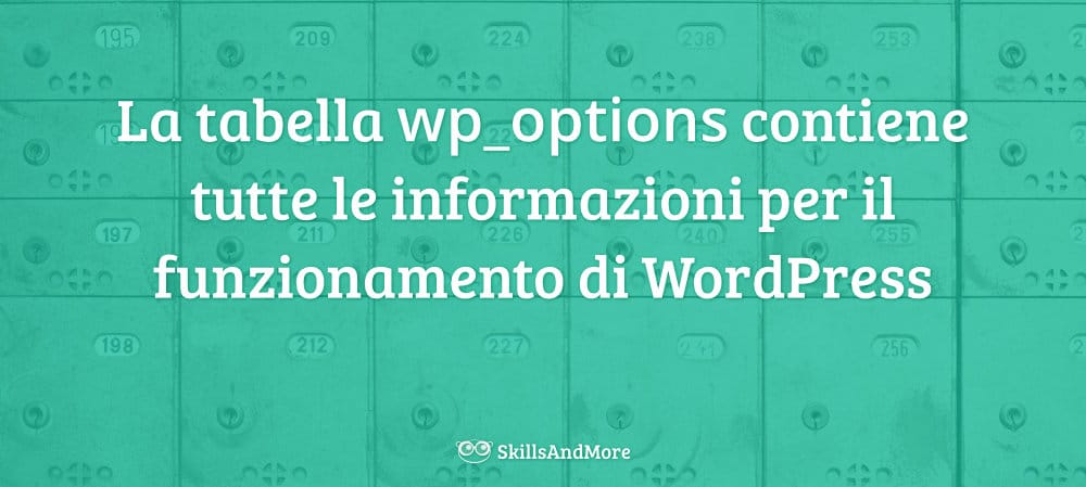 La tabella wp_options contiene tutte le informazioni per il funzionamento di WordPress